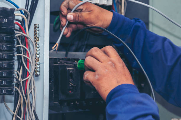 Best Local Electrician Companies  in Zolfo Springs, FL